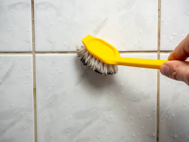 Best Emergency Mold Removal  in Kulpmont, PA